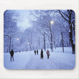 Nordamerika, USA, New York, New York City. 8 Mousepad