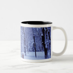 Nordamerika, USA, New York, New York City. 8 Zweifarbige Tasse