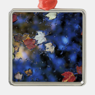 Nordamerika, USA, NH, Blätter in einem Teich daneb Ornament Aus Metall