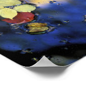 Nordamerika, USA, NH, Blätter in einem Teich im nä Poster (Ecke)