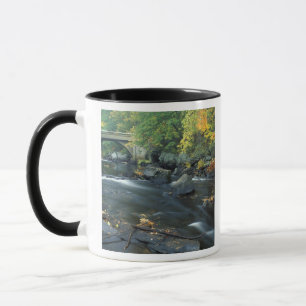Nordamerika, USA, NH, Die Brücke bei Packers Tasse