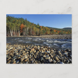 Nordamerika, USA, NH, Ein Kopfsteinpflaster Strand Postkarte