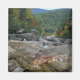 Nordamerika, USA, NH, Fall Foliage in New Magnet