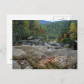 Nordamerika, USA, NH, Fall Foliage in New Postkarte (Vorne/Hinten)