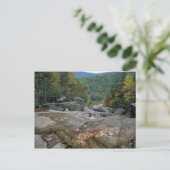 Nordamerika, USA, NH, Fall Foliage in New Postkarte (Stehend Vorderseite)