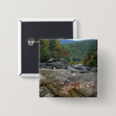 Nordamerika, USA, NH, Herbstfolien in New York Button (Vorne & Hinten)