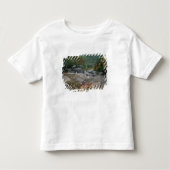Nordamerika, USA, NH, Herbstfolien in New York Kleinkind T-shirt (Vorderseite)