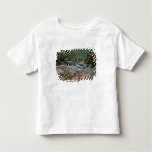 Nordamerika, USA, NH, Herbstfolien in New York Kleinkind T-shirt