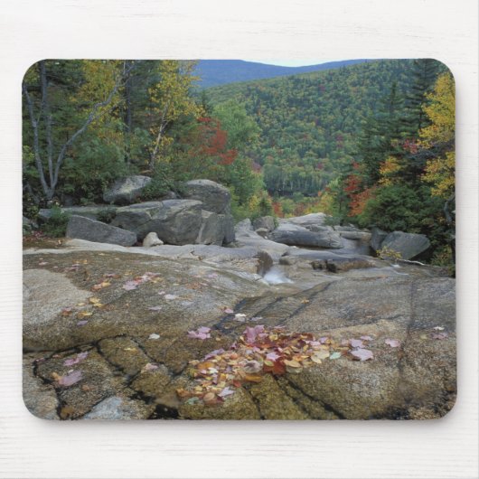 Nordamerika, USA, NH, Herbstfolien in New York Mousepad (Vorne)