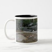 Nordamerika, USA, NH, Herbstfolien in New York Zweifarbige Tasse (Links)