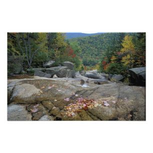 Nordamerika, USA, NH, Herbstlaub in New Fotodruck