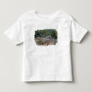 Nordamerika, USA, NH, Herbstlaub in New Kleinkind T-shirt