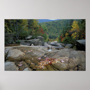 Nordamerika, USA, NH, Herbstlaub in New Poster