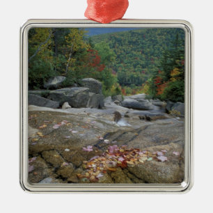 Nordamerika, USA, NH, Herbstlaub in New Silbernes Ornament