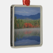 Nordamerika, USA, NH, Herbstreflektionen in Silbernes Ornament (Rechts)