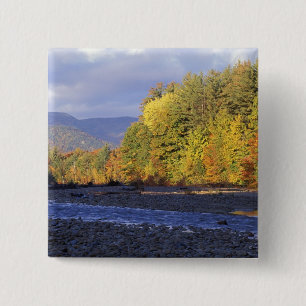 Nordamerika, USA, NH, Saco River. Kiesel Button