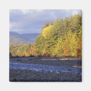 Nordamerika, USA, NH, Saco River. Kiesel Magnet