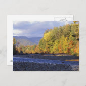 Nordamerika, USA, NH, Saco River. kobeln Postkarte (Vorne/Hinten)