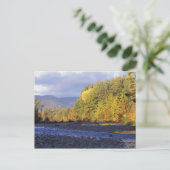 Nordamerika, USA, NH, Saco River. kobeln Postkarte (Stehend Vorderseite)