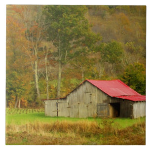 Nordamerika, USA, North Carolina, ländlich Fliese