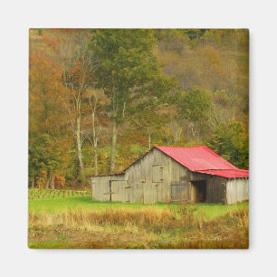 Nordamerika, USA, North Carolina, ländlich Magnet