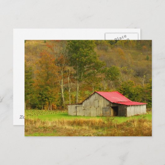 Nordamerika, USA, North Carolina, ländliche Gebiet Postkarte (Vorne/Hinten)