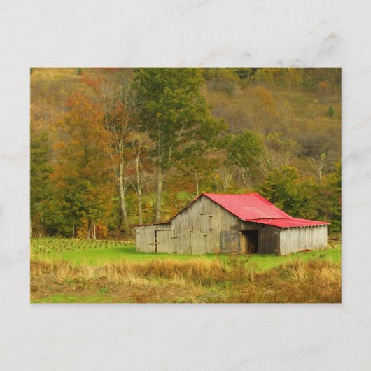 Nordamerika, USA, North Carolina, ländliche Gebiet Postkarte (Vorderseite)