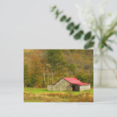 Nordamerika, USA, North Carolina, ländliche Gebiet Postkarte (Stehend Vorderseite)