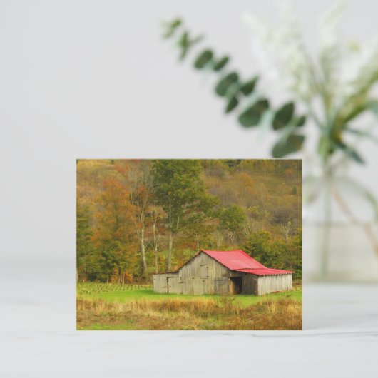 Nordamerika, USA, North Carolina, ländliche Gebiet Postkarte (Stehend Vorderseite)