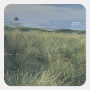 Nordamerika, USA, Oregon, Canon Beach, Quadratischer Aufkleber