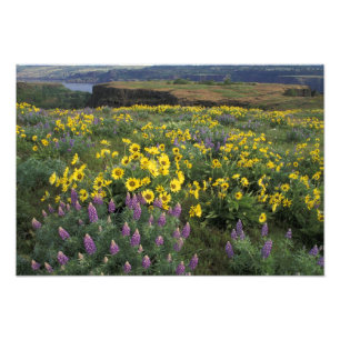 Nordamerika, USA, Oregon, Columbia River 2 Fotodruck