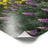 Nordamerika, USA, Oregon, Columbia River 2 Fotodruck (Ecke)