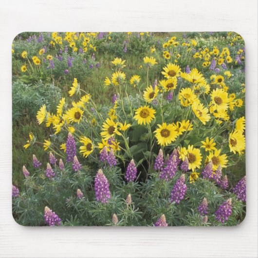 Nordamerika, USA, Oregon, Columbia River Mousepad (Vorne)