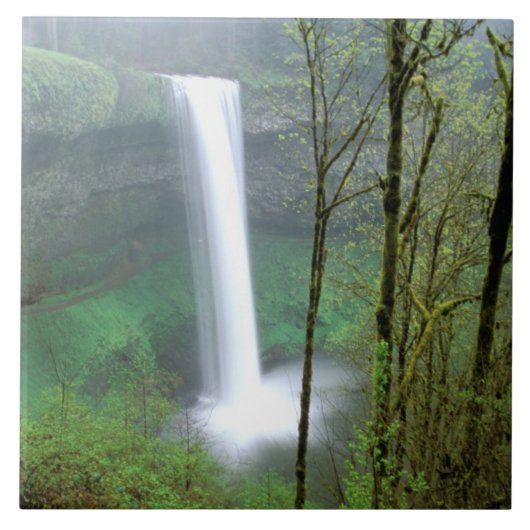 Nordamerika, USA, Oregon, Silver Falls Staat Fliese (Vorderseite)