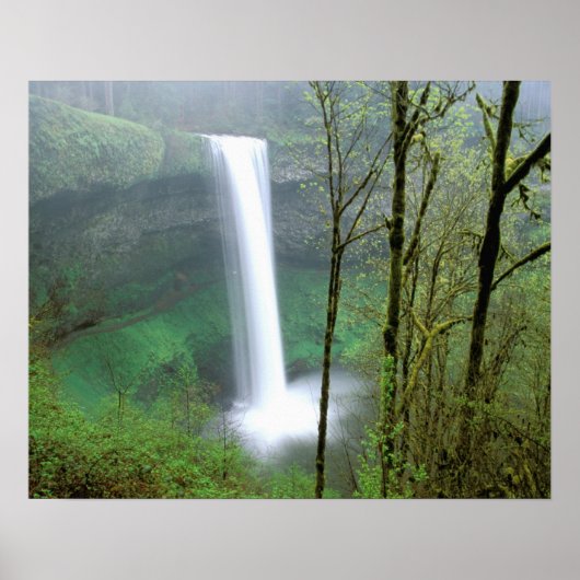 Nordamerika, USA, Oregon, Silver Falls Staat Poster (Vorne)