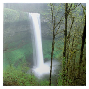 Nordamerika, USA, Oregon, Silver Falls State Fliese