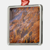 Nordamerika, USA, Utah, Bryce Canyon Silbernes Ornament (Links)