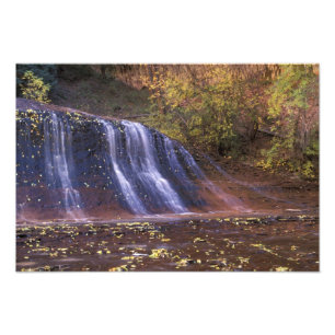 Nordamerika, USA, Utah, Zion National Park. 2 Fotodruck