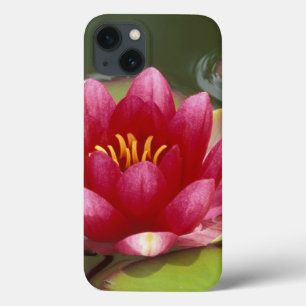 Nordamerika, USA, WA, Seattle, Woodland Park 2 Case-Mate iPhone Hülle