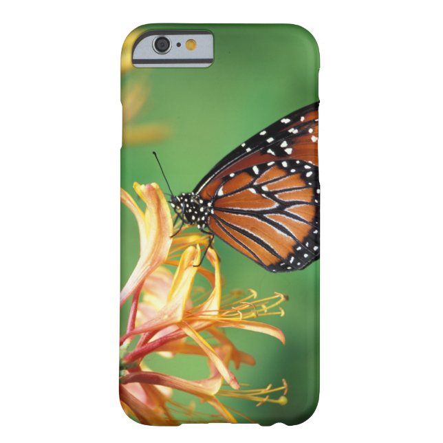 Nordamerika, USA, WA, Seattle, Woodland Park Case-Mate iPhone Hülle (Rückseite)