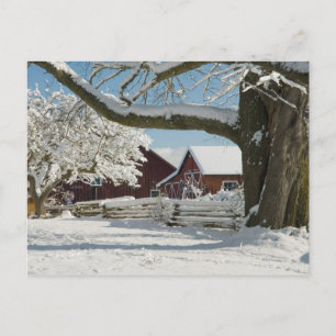 Nordamerika, USA, WA, Whidbey Insel. 2 Postkarte