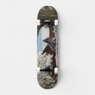 Nordamerika, USA, WA, Whidbey Insel. 2 Skateboard