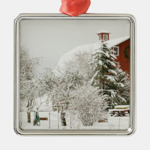 Nordamerika, USA, WA, Whidbey Insel Silbernes Ornament