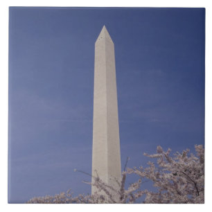 Nordamerika, USA, Washington D.C.. Washington Fliese