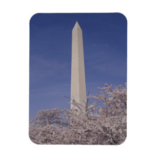 Nordamerika, USA, Washington D.C.. Washington Magnet
