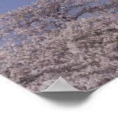 Nordamerika, USA, Washington D.C. Washington Poster (Ecke)