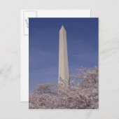 Nordamerika, USA, Washington D.C. Washington Postkarte (Vorne/Hinten)