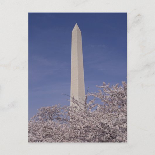 Nordamerika, USA, Washington D.C. Washington Postkarte (Vorderseite)