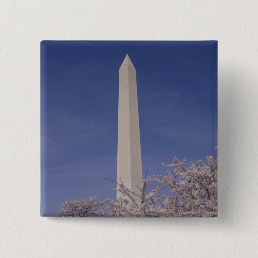 Nordamerika, USA, Washington DC. Washington Button (Vorderseite)