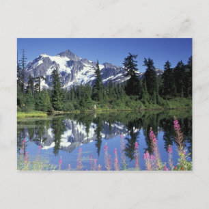 Nordamerika, USA, Washington, Heather Meadows Postkarte